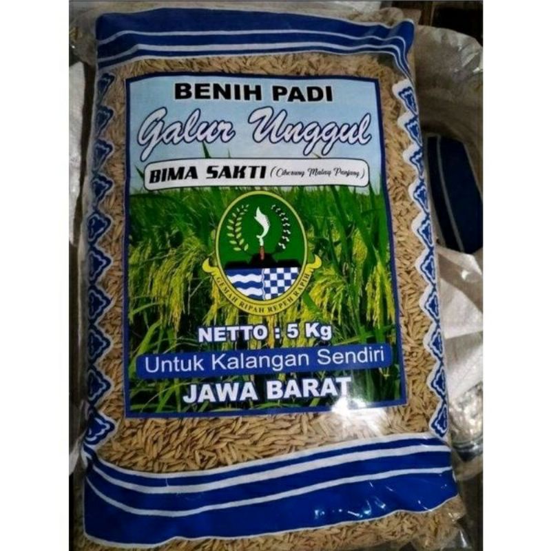 Benih Padi Bima Sakti(Ciherang Malai panjang), kemasan 5kg