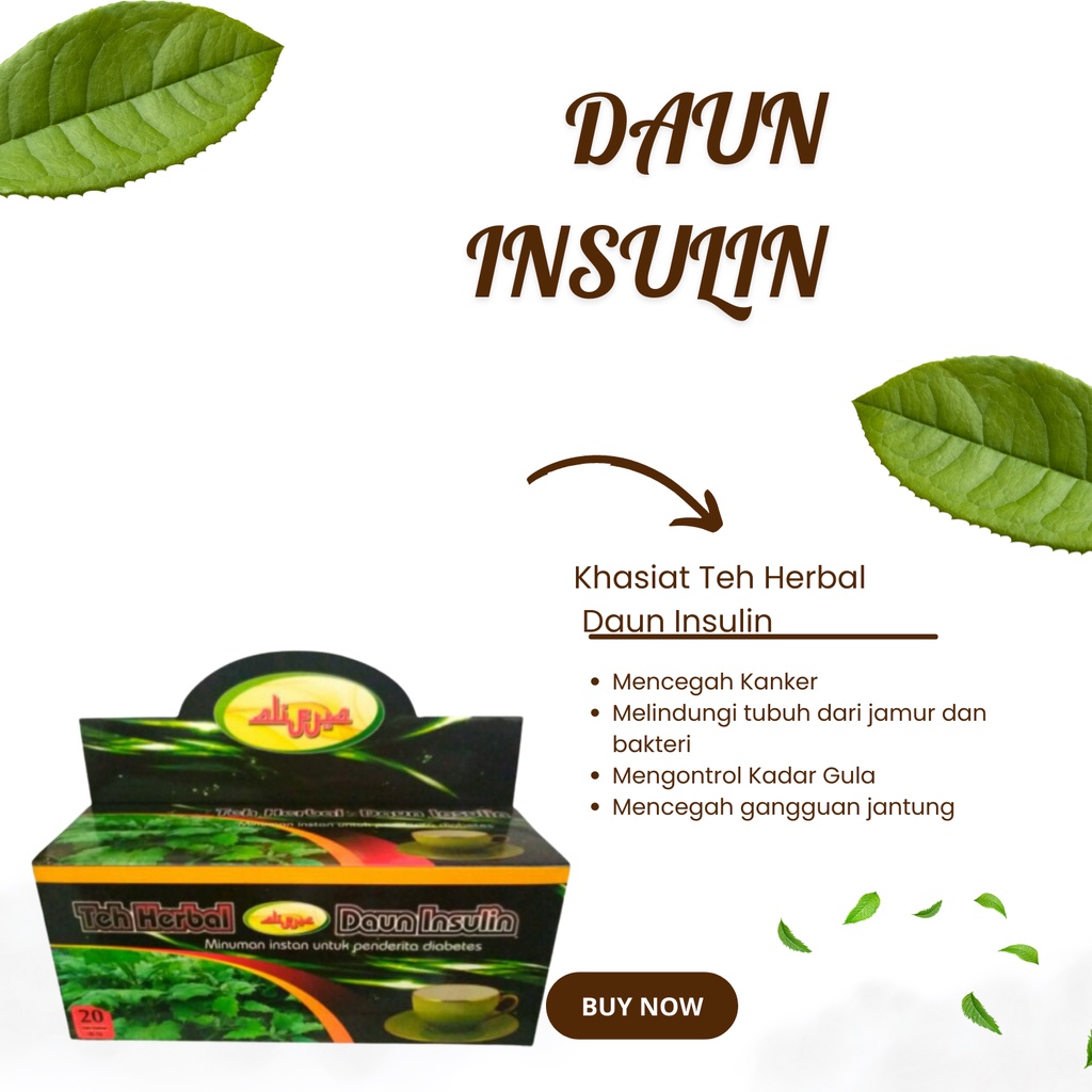 

TEH CELUP DAUN INSULIN ISI 20 KANTUNG AMPUH ATASI DIABETES TURUNKAN DAN NORMALKAN GULA DALAM DARAH