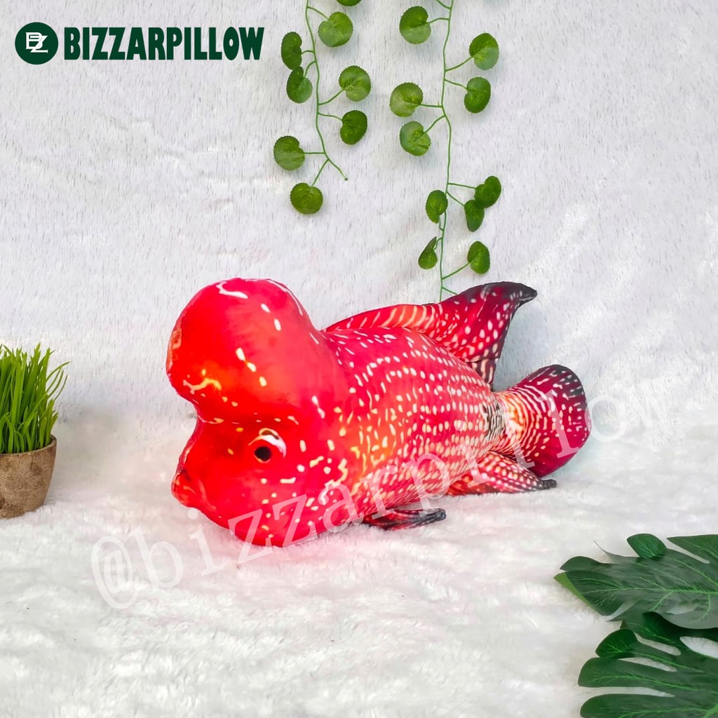 Bizzarpillow Bantal Ikan Louhan size M BZ080