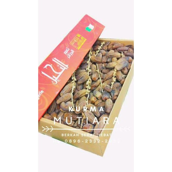 

Ready Stock Kurma Deglet Noor Tunisia Tangkai 1 Kg