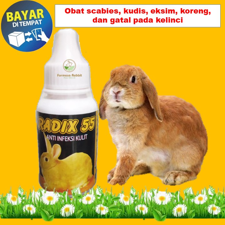 RADIX 55 OBAT Kelinci Scabies Obat Jamur Koreng Scabies Kelinci  Tetes Oles  obat scabies Kelinci