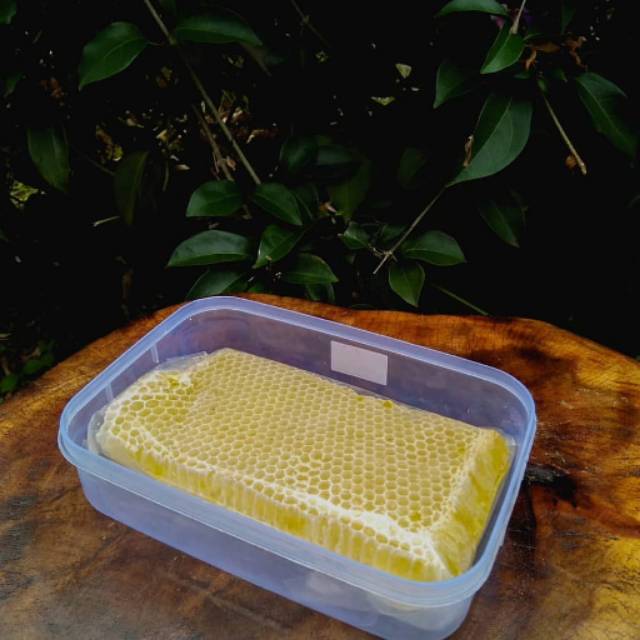 

Jual madu sarang melifera