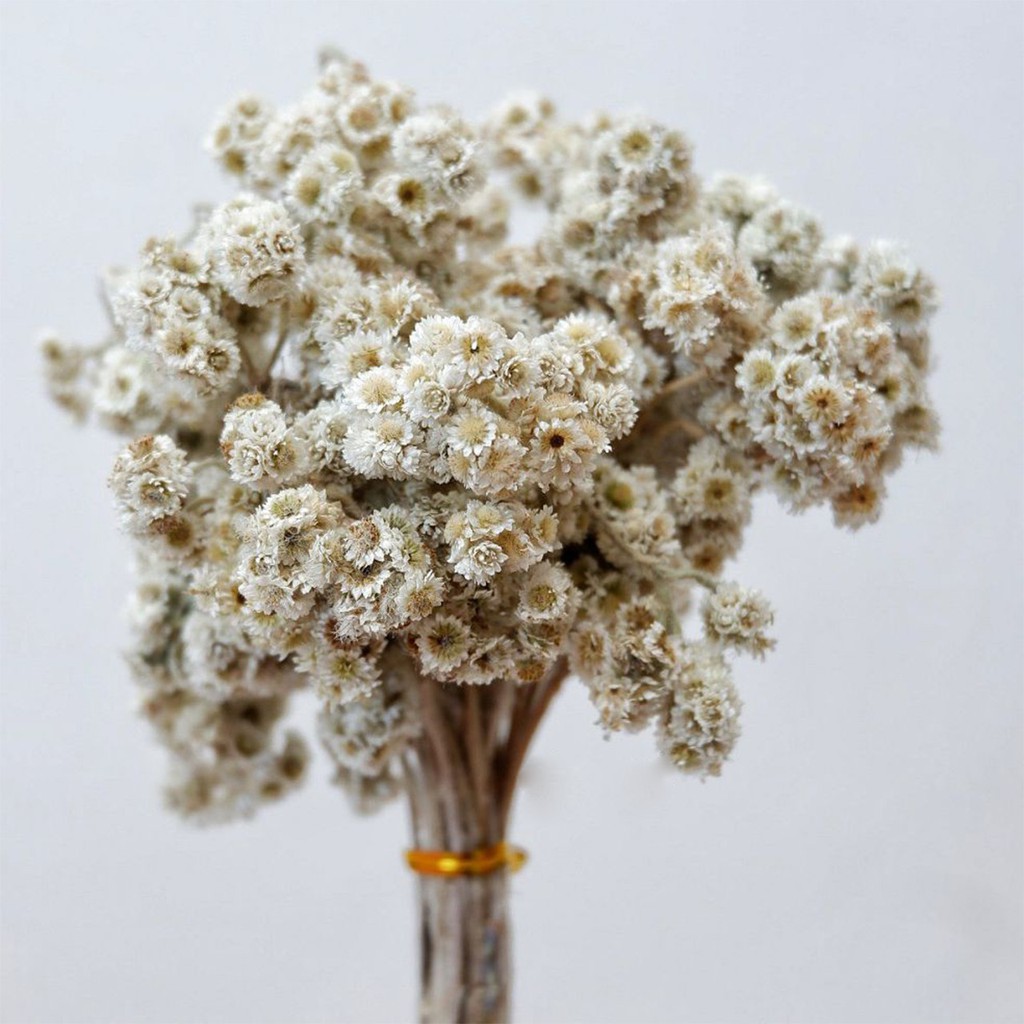 WOODEN DECOR - DEKORASI - BUNGA DANDELION KRISAN PALSU - BUNGA EDELWEIS - PAJANGAN BUNGA ARTIFICIA-3