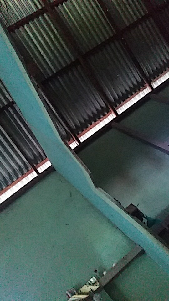 Electric Heating Cup 12cm/mug Listrik Gelas Masak/teko Listrik