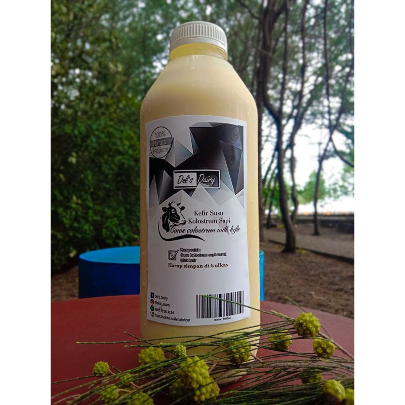 Kefir Kolostrum Sapi 1 Liter/1000ml