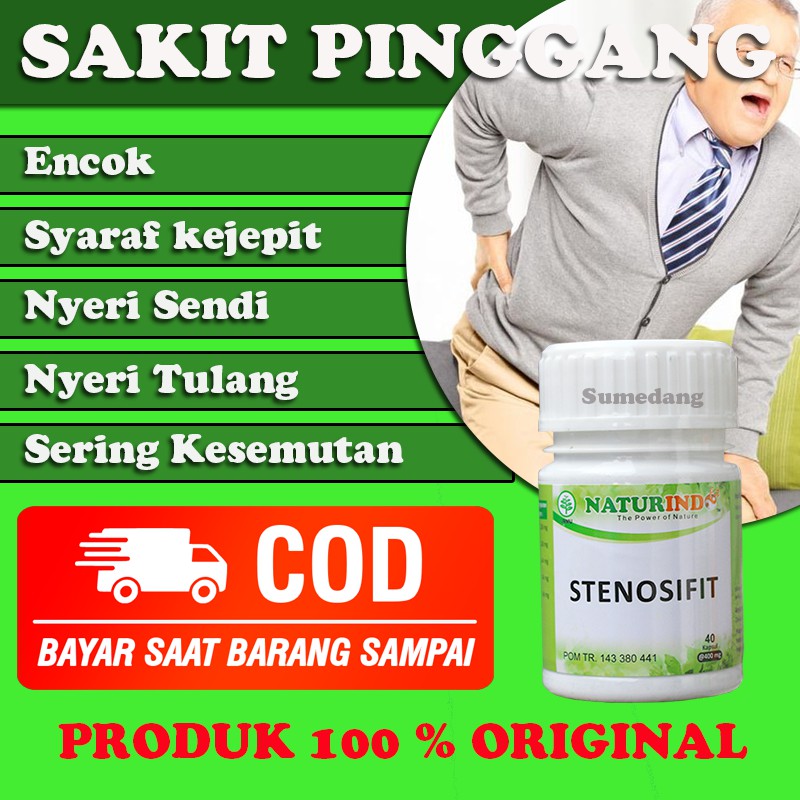 STENOSIFIT obat  herbal  sakit  pinggang  dan encok serta 