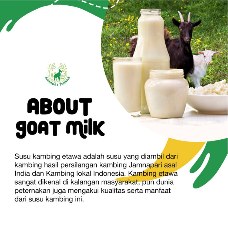 

SUSUKA# SUSU KAMBING ETAWA