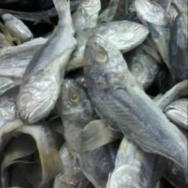 

Ikan asin kepala batu, asli medan