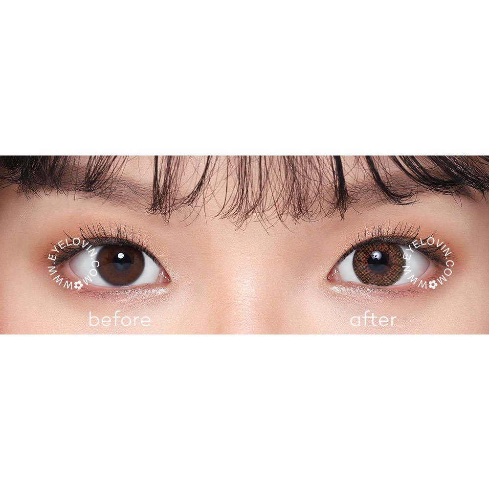 EYELOVIN Softlens Holicat - Sexy Brown