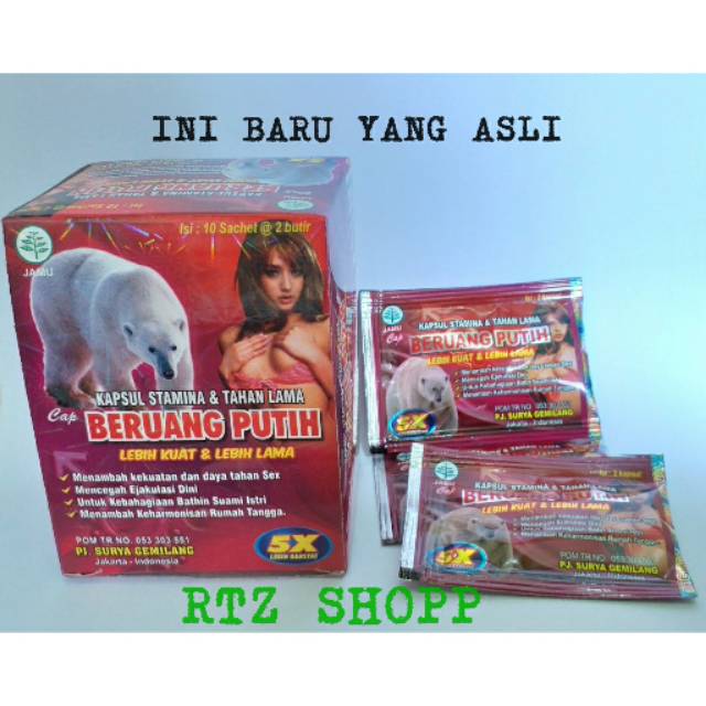 

BERUANG PUTIH