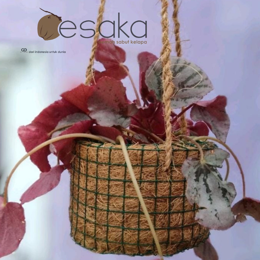 pot strimin gantung pot sabut kelapa bulat gantung pot ram besi