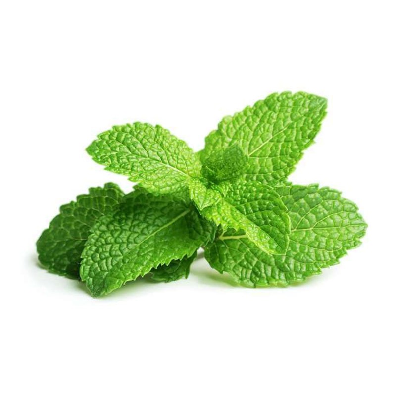 

Daun Mint 100 gr