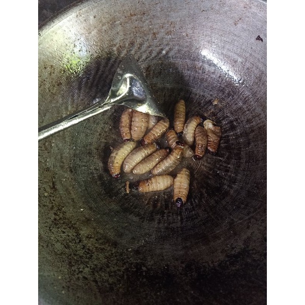 

ulat sagu goreng 25 ekor siap makan