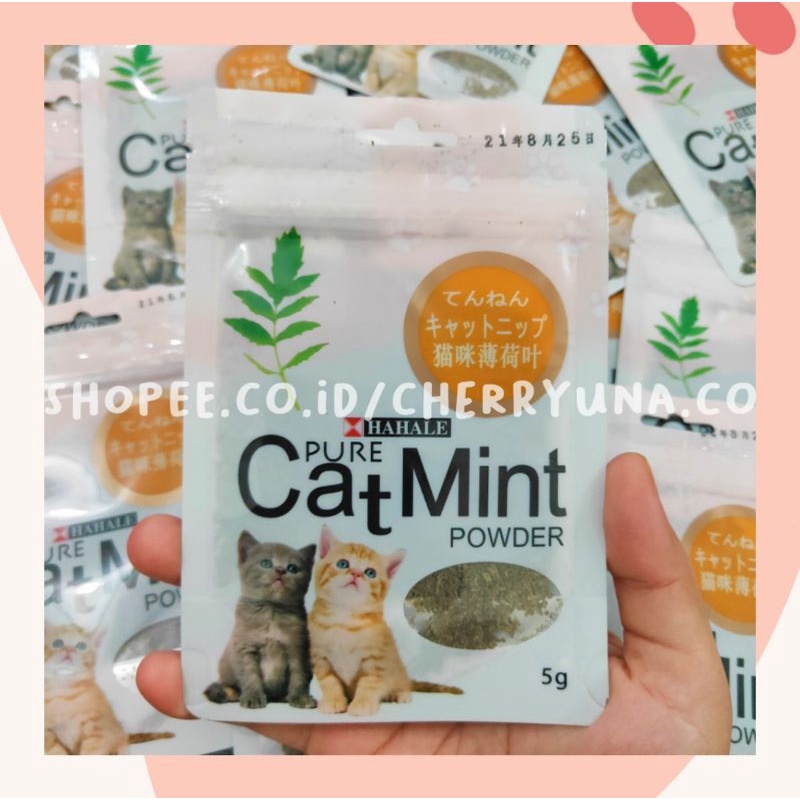 CATMINT/CATNIP POWDER 5GR