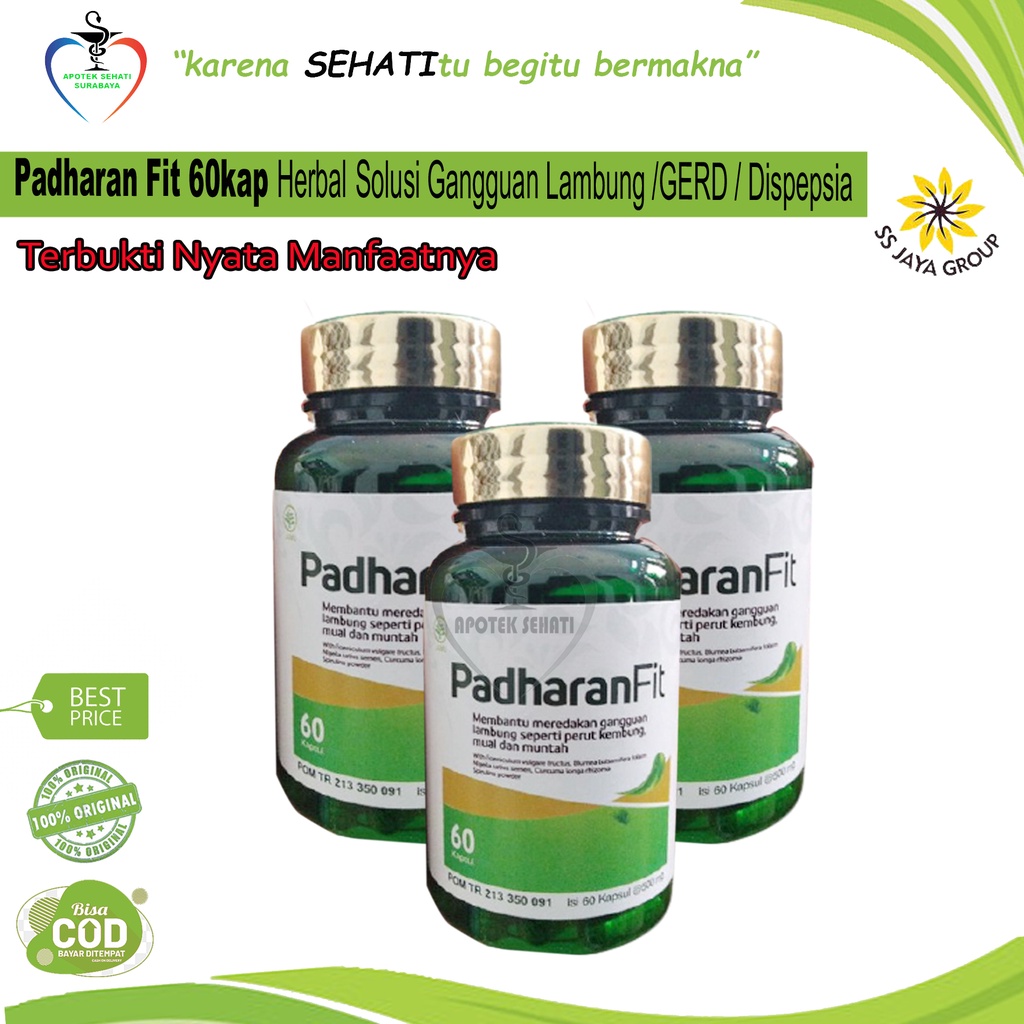 Padharan Fit Obat Herbal Asam Lambung Maag Gerd Dispepsia Akut