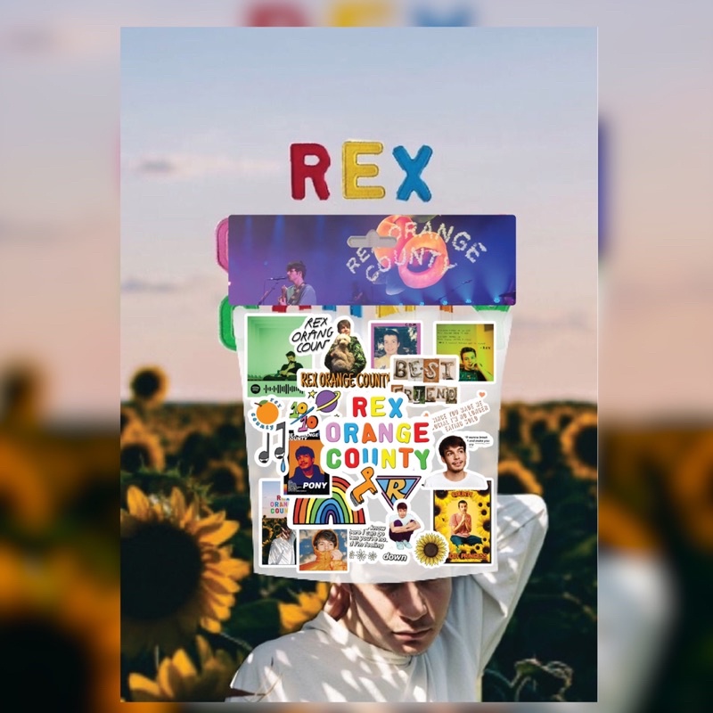 

[24 PCS STICKERS] Stickers Rex Orange County untuk laptop, hp, dll