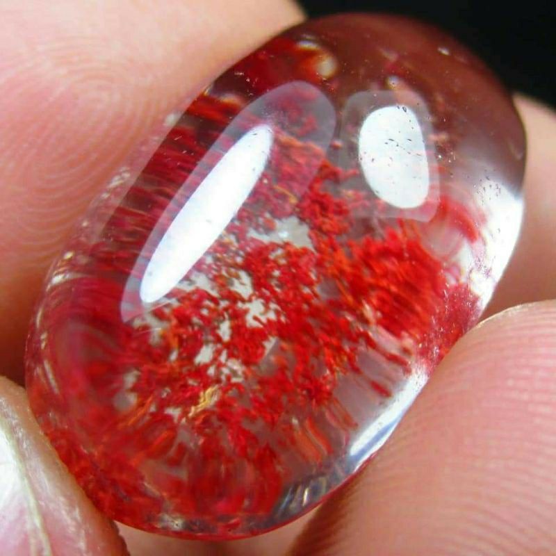 BATU KECUBUNG KARANG ASLI TOP QUALITY