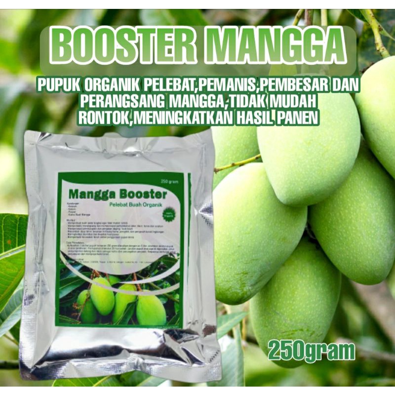 Pupuk Organik Booster Pelebat Pemanis Buah Mangga ,Pupuk Penyubur Mangga Cepat Berbuah Lebat dan Tumbuh Bunga