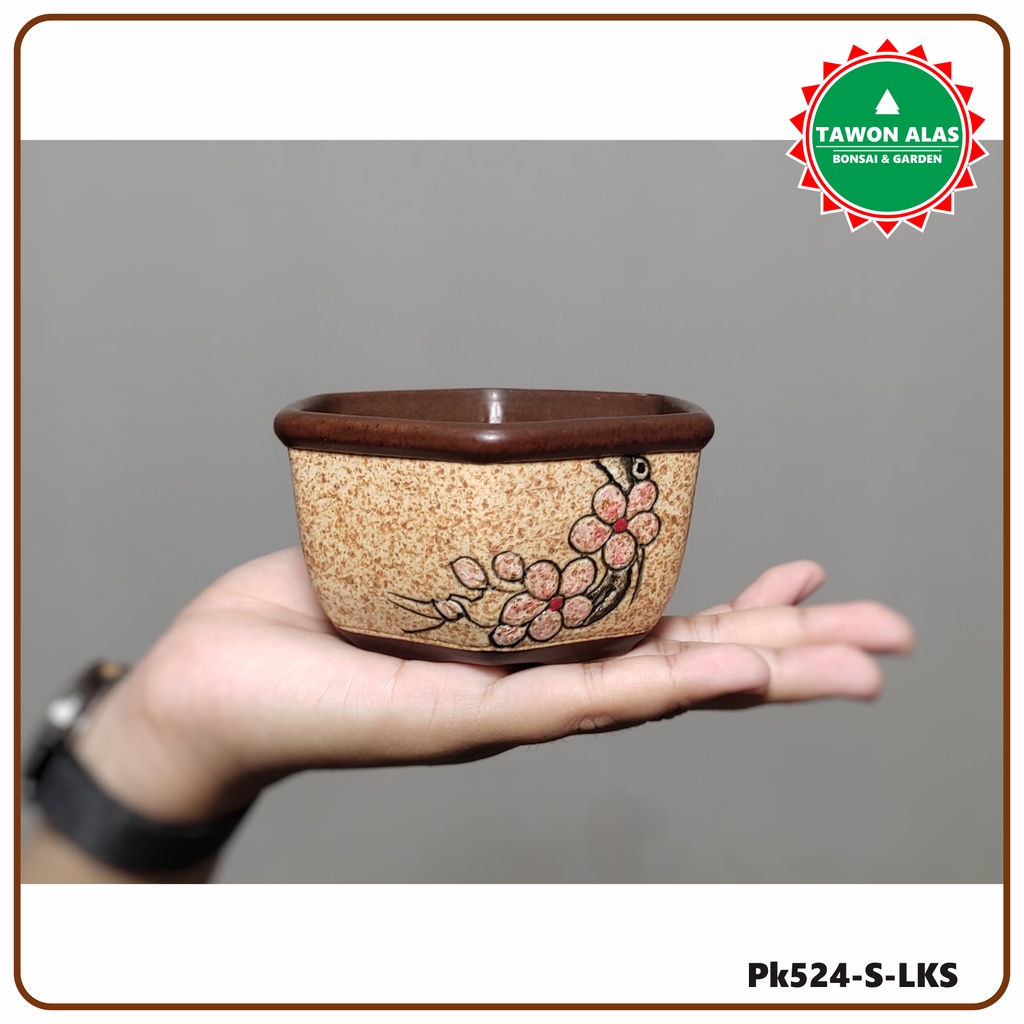 Pot Keramik Bonsai Sukulen Kaktus Segi Enam Kecil Small Bukan Plastik - Cokelat