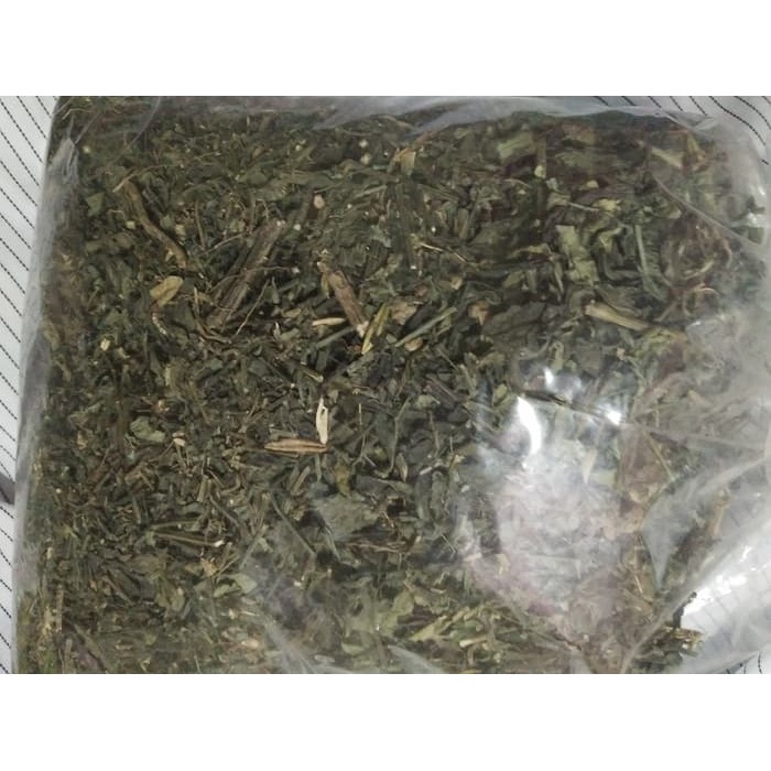 

Daun Sambiloto Kering Daun Paitan Kering Murah 250 gr