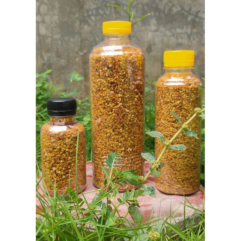 

Beepollen / tepung sari bunga alami