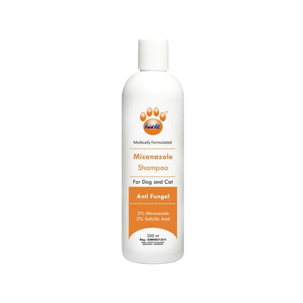 raid dog shampoo miconazole anti jamur sampo untuk anjing kucing