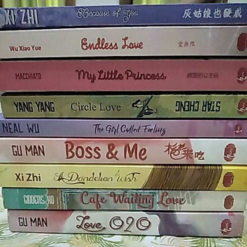 Novel Terjemahan Mandarin Penerbit Haru SISA Endless Love doang [Preloved]