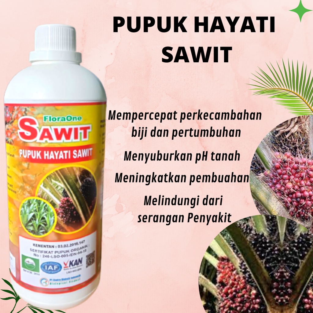 pupuk kelapa sawit yang paling bagus, pupuk sawit yang bagus, FLORAONE Pupuk Cair Terbaik untuk poho