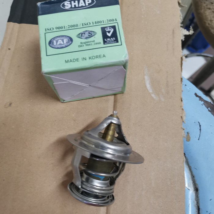 Thermostat kia pregio travello