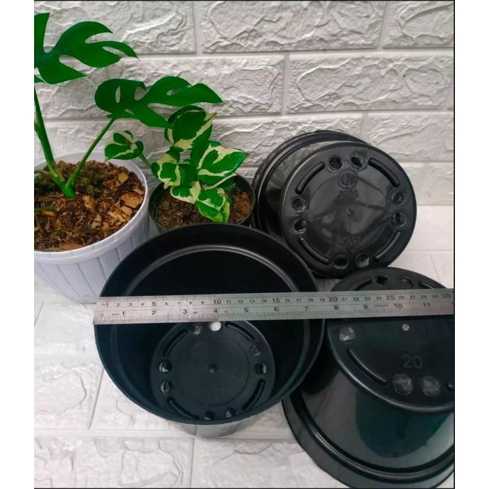 POT HITAM UKURAN 20 ISI 6 DIAMETER 19 POT TANAMAN PAKET POT MURAH