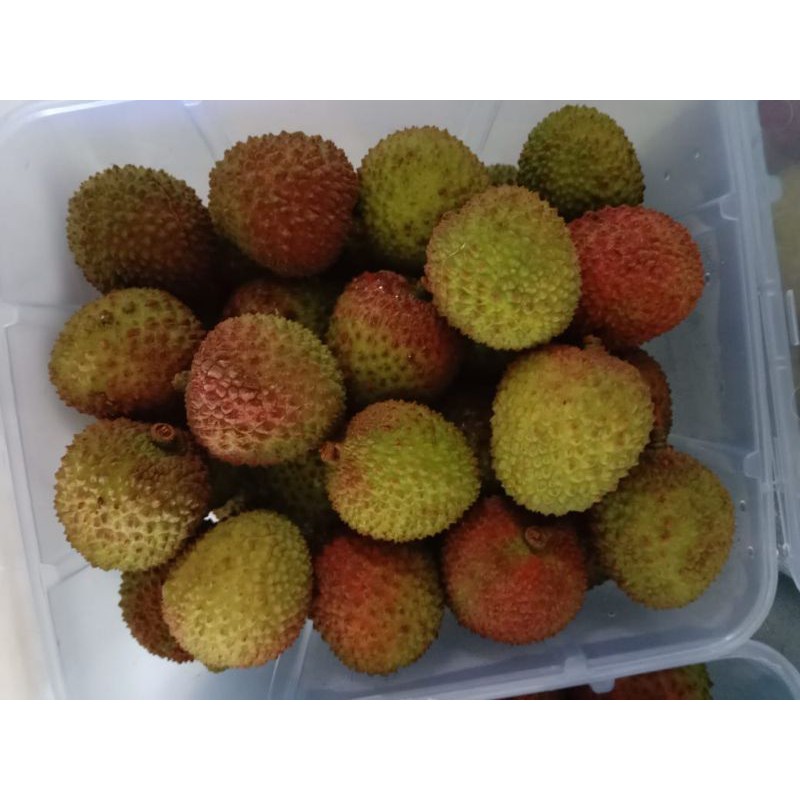 

Leci Hijau/Leci madu