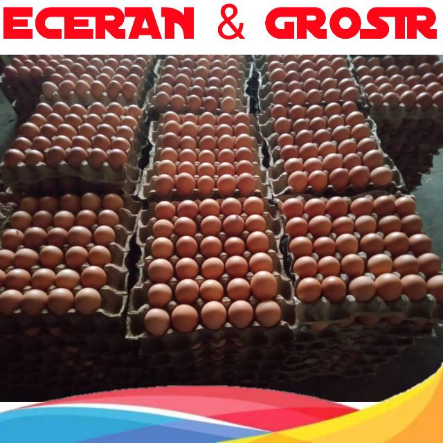 

Telur Ayam 5kg