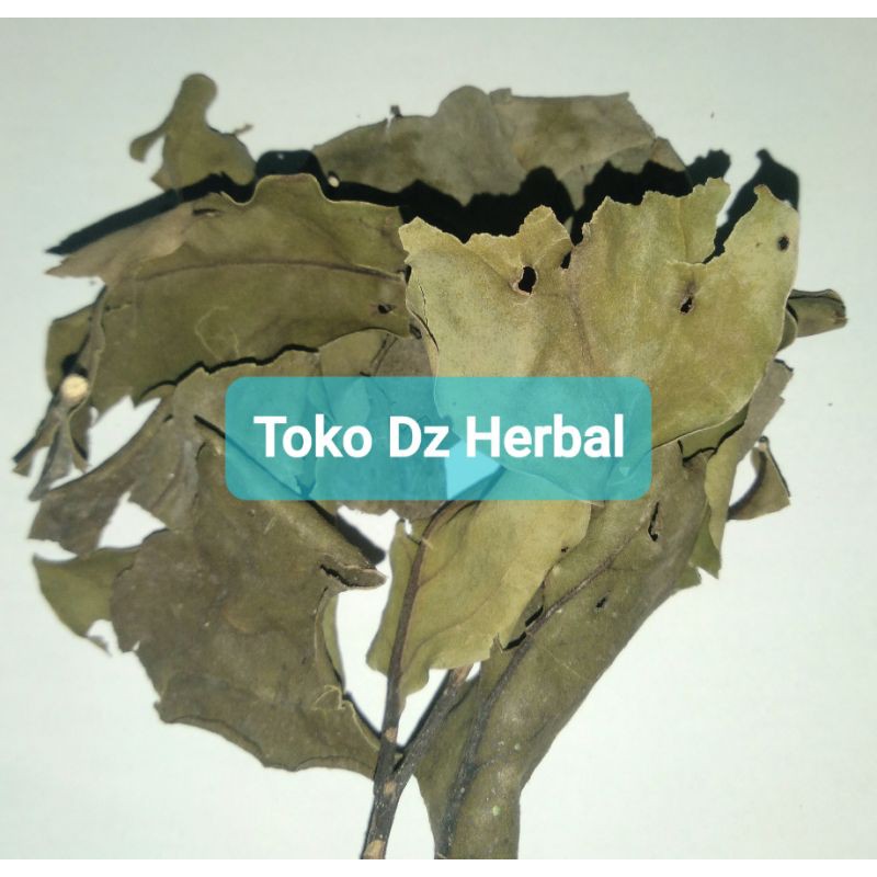 

Hemat 150 gram benalu kelor kering-az