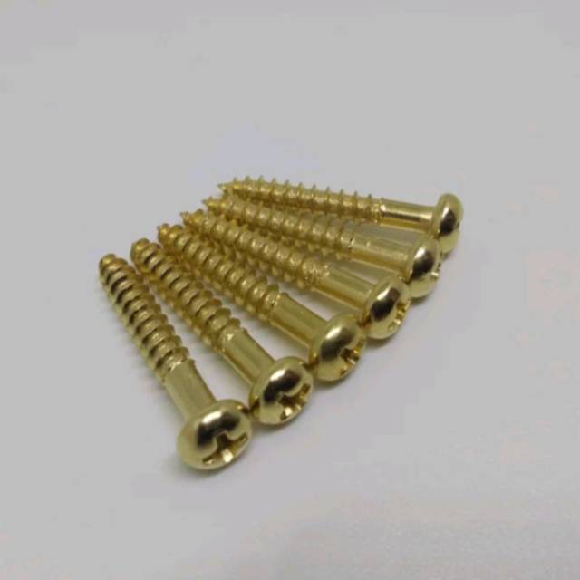 Screw Tremolo Guitar set Gold