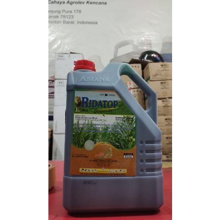 RIDATOP 288 SL 5 LTR