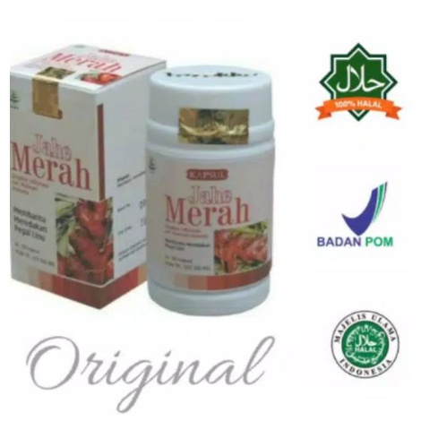 Obat herbal mengobati ej-akulasi dini dan daya tahan tubuh dengan kapsul jahe merah original tazakka ASLI 100% HERBAL