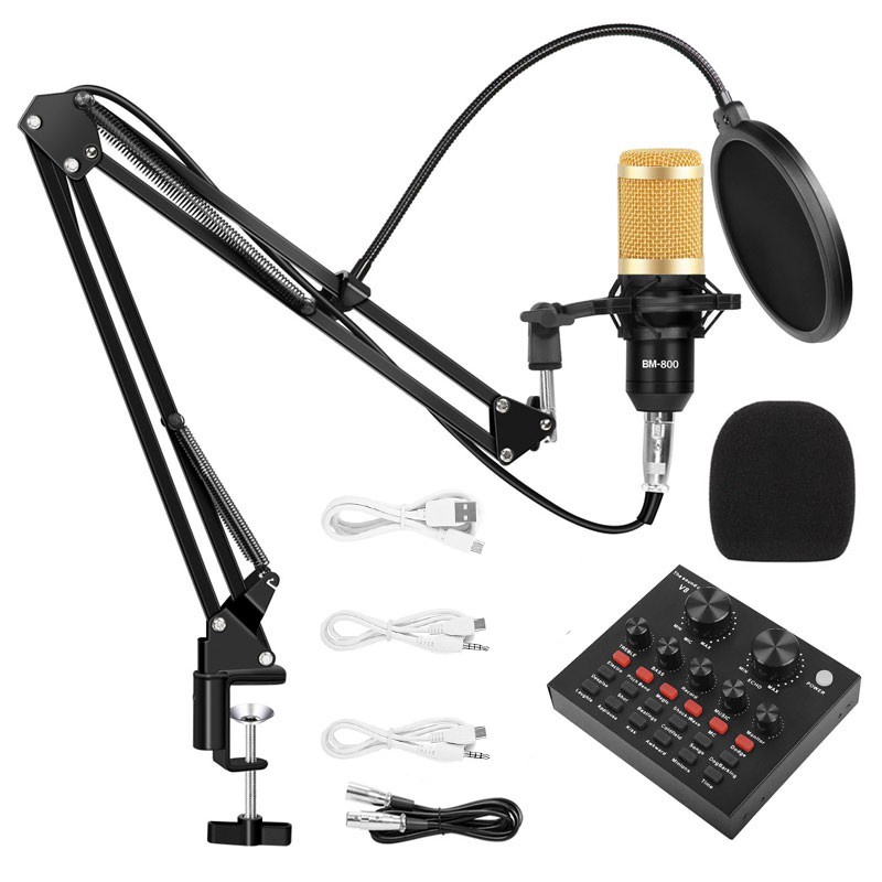 Microphone Studio Kit Profesional Condenser Broadcasting Recording Mic