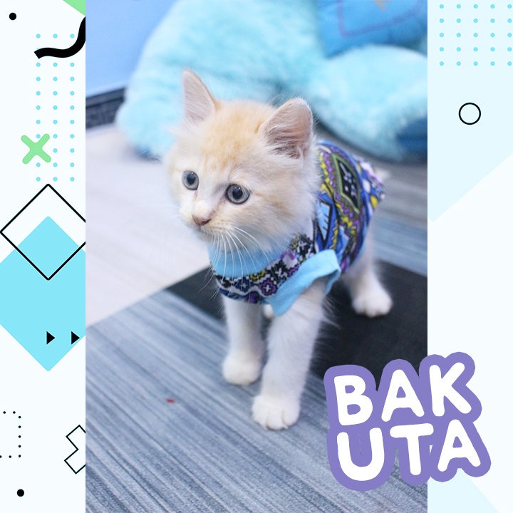 Kaos Lengan pendek No Motif #3407 / Baju Kucing tangerang murah / baju kucing lucu size S-XL