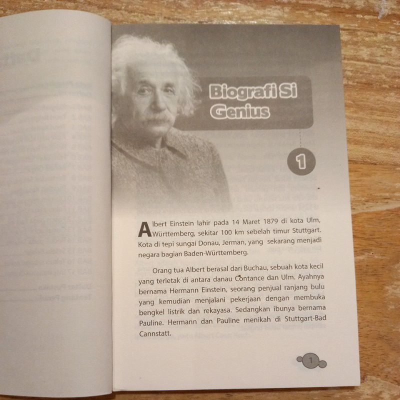 PROMO BUKU TOKOH - ALBERT EINSTEIN : PERCIK-PERCIK INSPIRASI & MOTIVASI-4