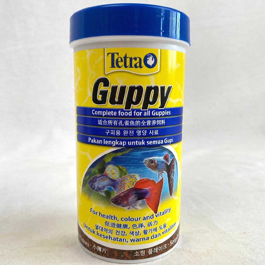 

TETRA Makanan Ikan GUPPY 75gr
