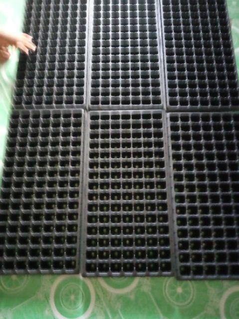 Pot Tray / Tray Semai Tipe 105 Lubang