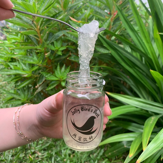 

Jolly bird’s nest (Pre-Order)