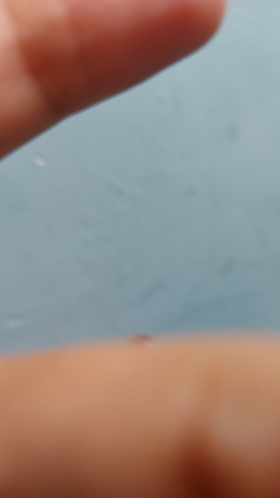 (kl05) Tas Permen S Nat Dasarnya 6*6cm Tinggi 6cm Sampai Gagang 10cm/ Tempat Telur Paskah/ Tas Ampau