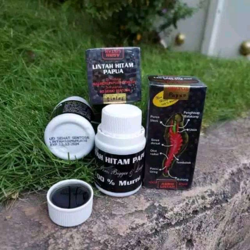 Jual Lintah Hitam Papua Original Shopee Indonesia