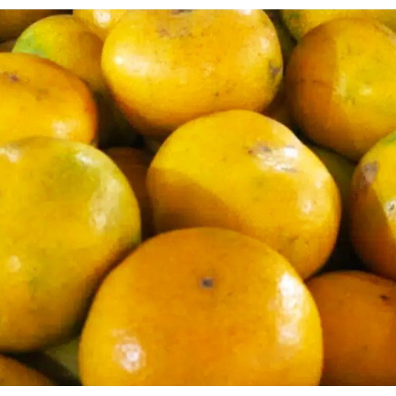 

Buah Segar - Jeruk Medan 1 Kg