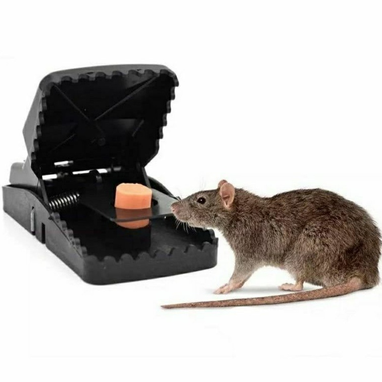 Perangkap Tikus Ampuh Jebakan Tikus Mouse Trap PVC Jebakan Tikus