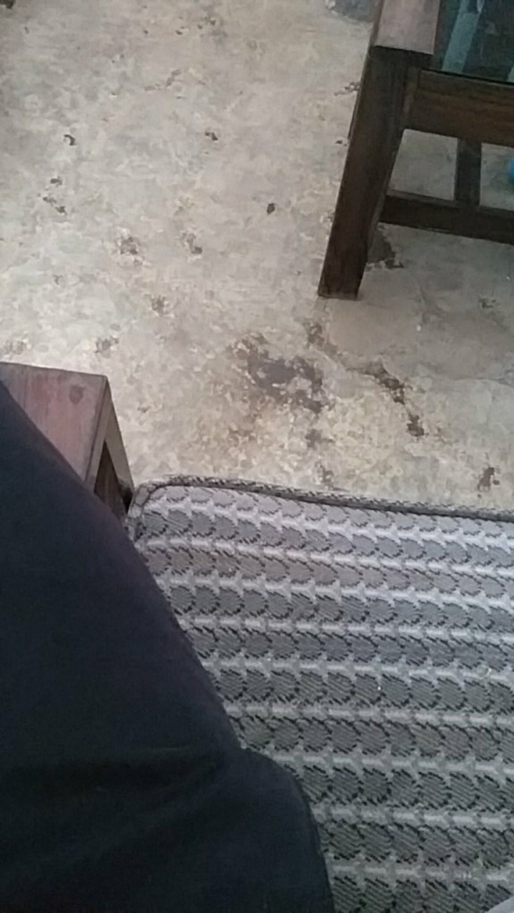 Pisau Potong Keramik | Diamond Wheel | Pisau Pemotong Keramik Mollar