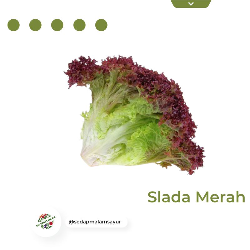 

sayursegar/sladamerah500gr/lalarosa