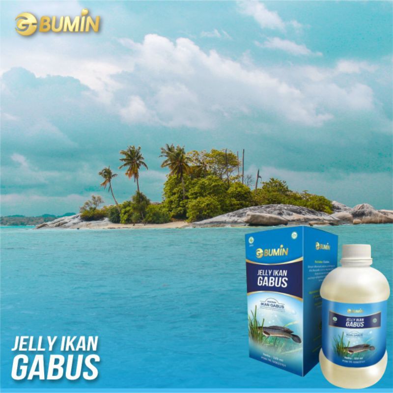 Jelly Ikan Gabus