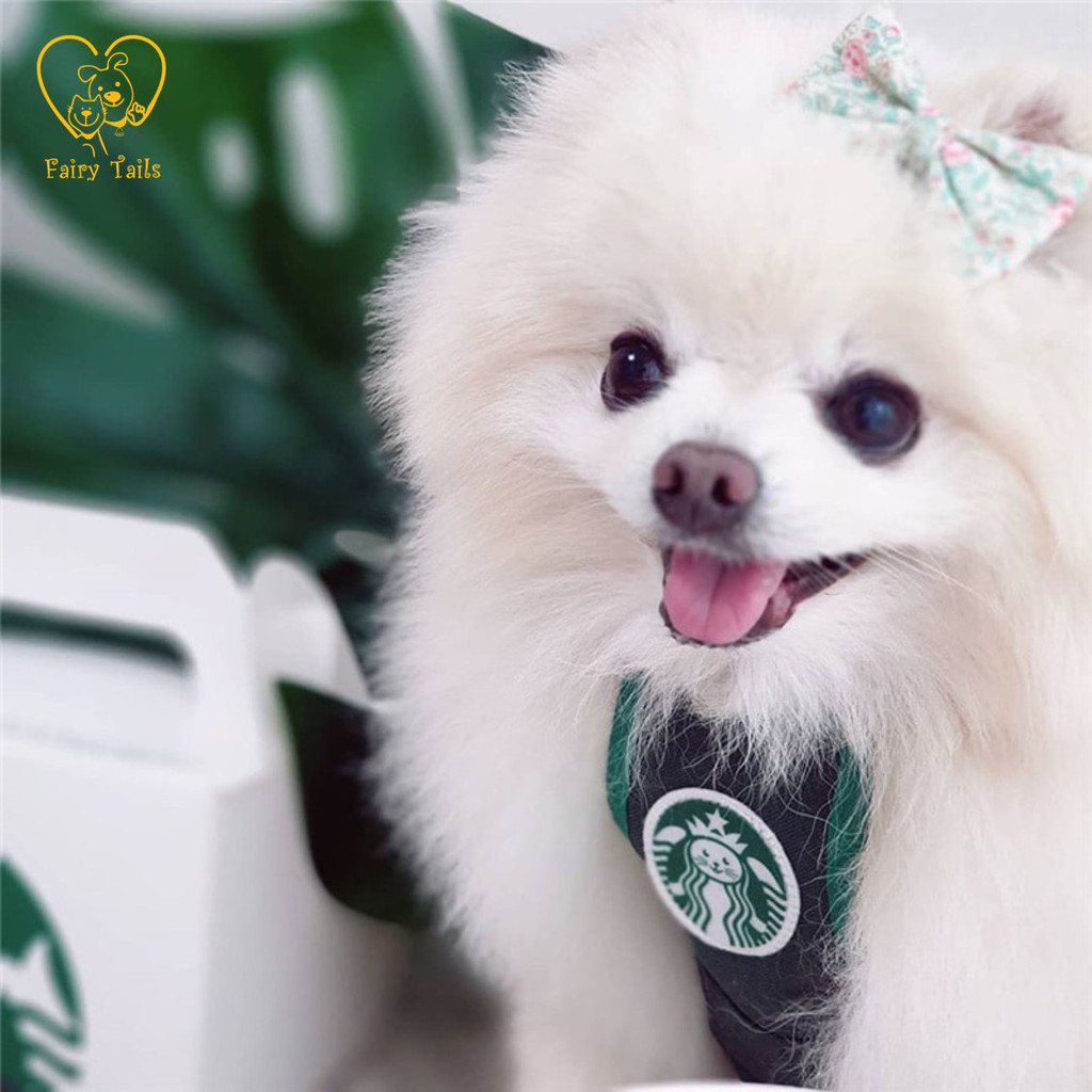 Kostum Cosplay Anjing Kucing Apron Celemek Starbucks ''Catbucks'' | Pet Costume Starbucks Apron